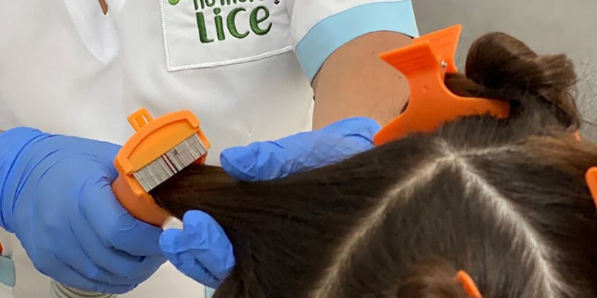 Reasons Why Most Hair Lice Treatments Fail